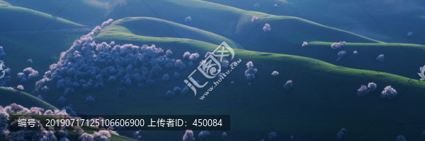 土爾根