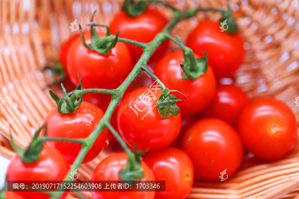 西紅柿