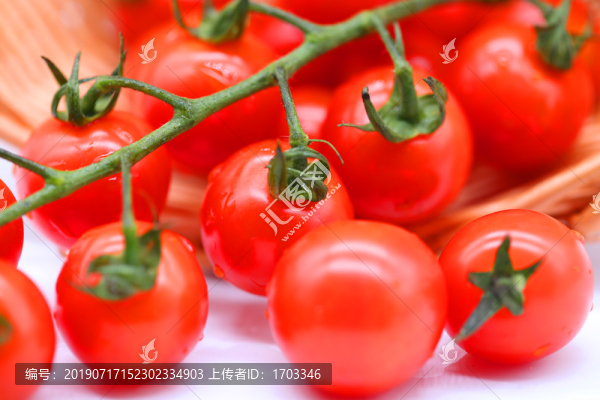 西紅柿