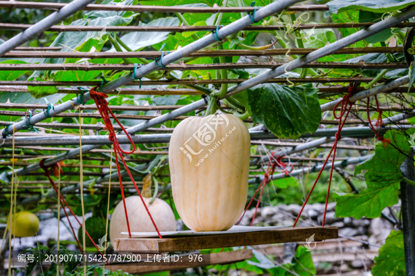 高州仙人洞風(fēng)景區(qū)