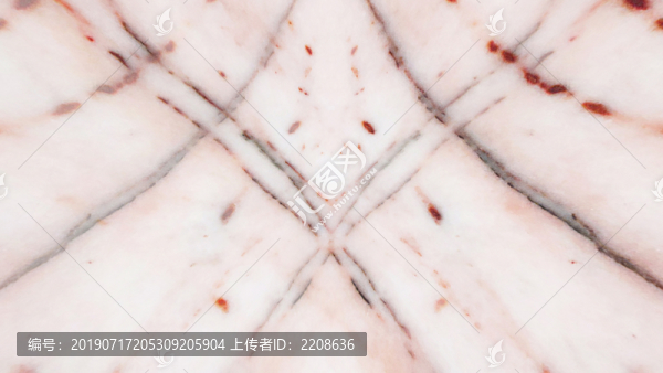 底紋