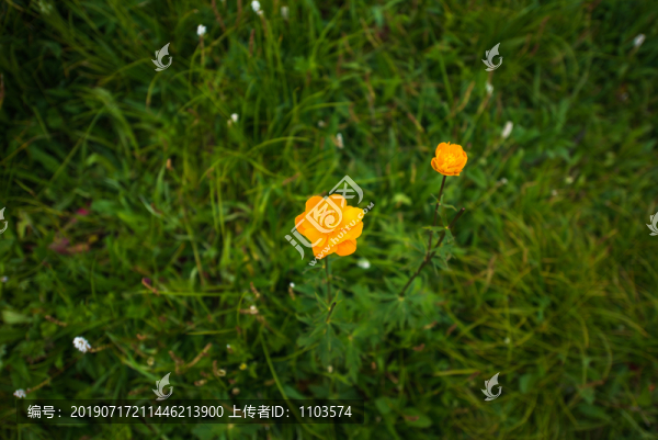 駝梁風(fēng)景區(qū)79