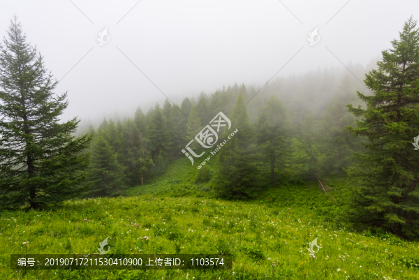 駝梁風(fēng)景區(qū)87