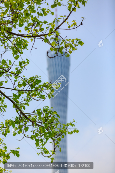 羊城新八景之廣州塔