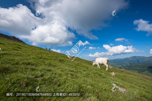 五臺(tái)山