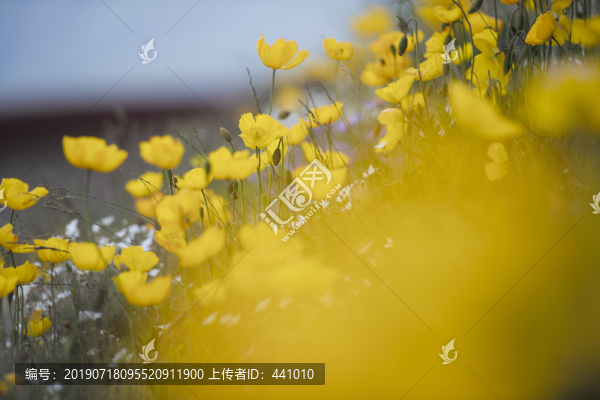 五臺山