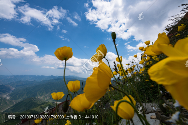 五臺(tái)山