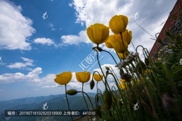 五臺(tái)山