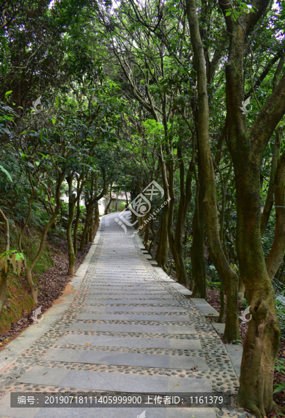 公園