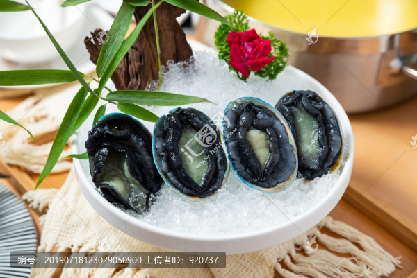 新西蘭藍鮑魚