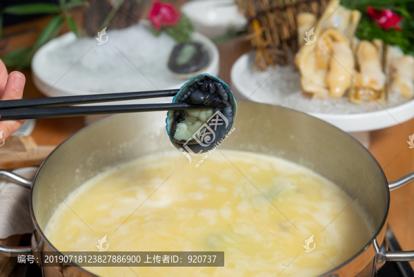新西蘭藍(lán)鮑魚