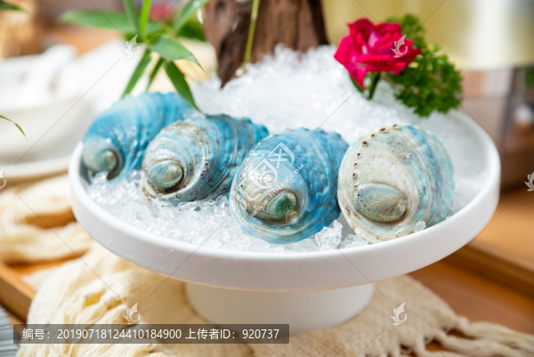 新西蘭進(jìn)口藍(lán)鮑魚(yú)