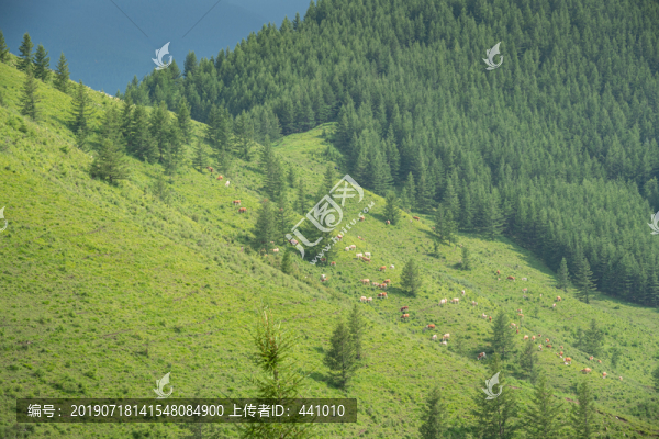 五臺(tái)山