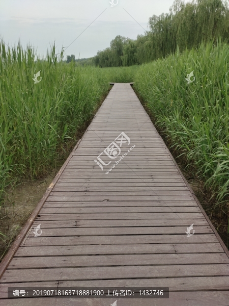水上木橋