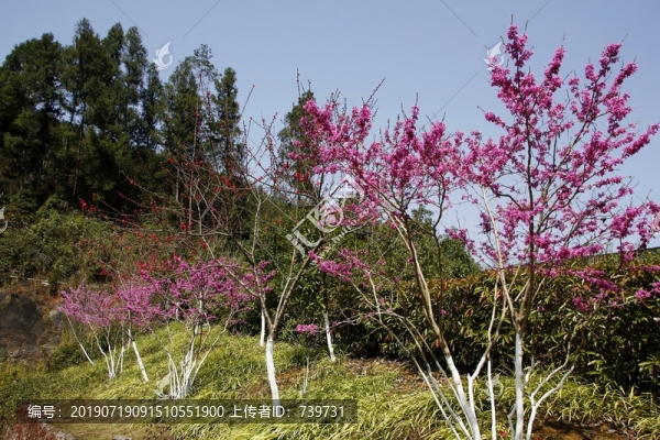 阿依河