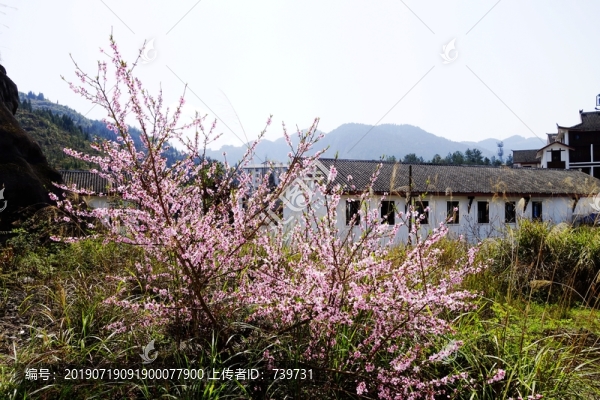 阿依河