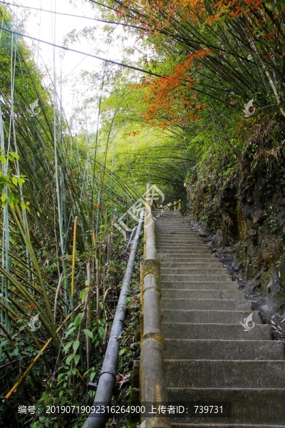 阿依河