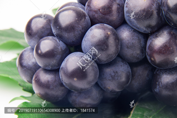 黑葡萄