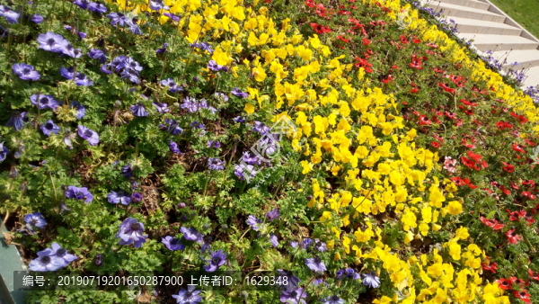 花