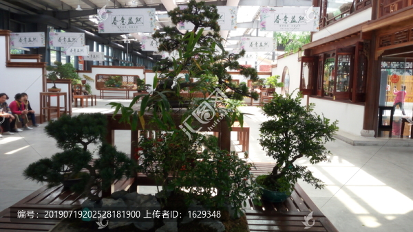 室內(nèi)盆景市場
