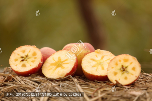 阿克蘇冰糖心紅富士蘋果主圖特寫