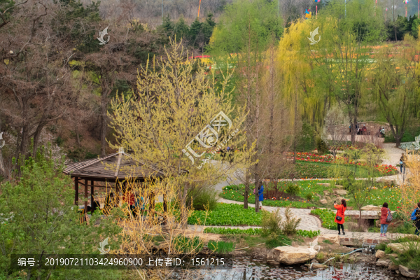 公園風(fēng)光