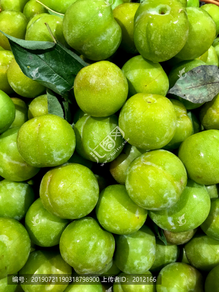 青李子