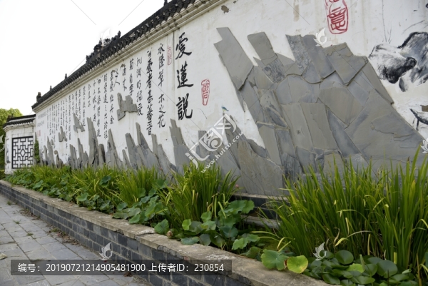 荷花背景墻