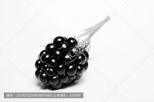 野果