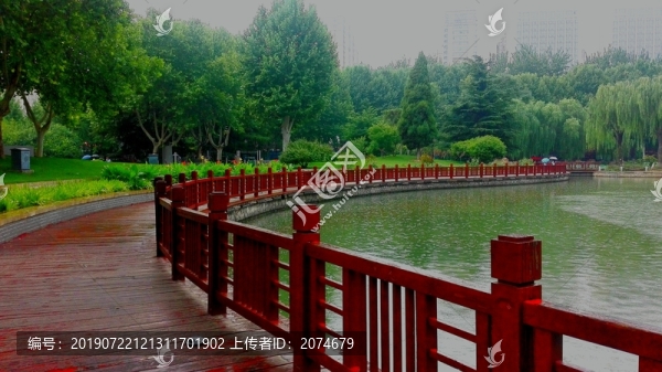 雨中公園一角