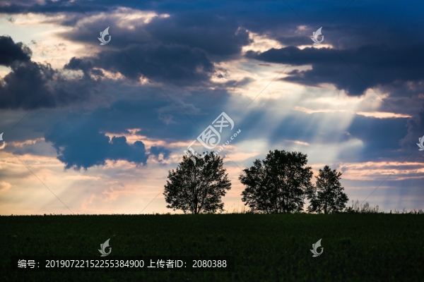 佛光