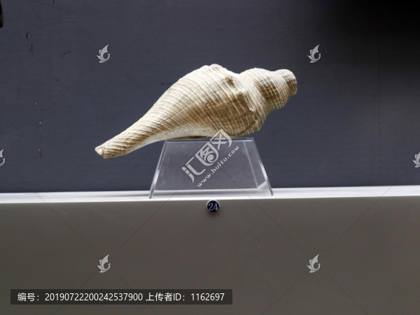 戰(zhàn)爭(zhēng)螺號(hào)