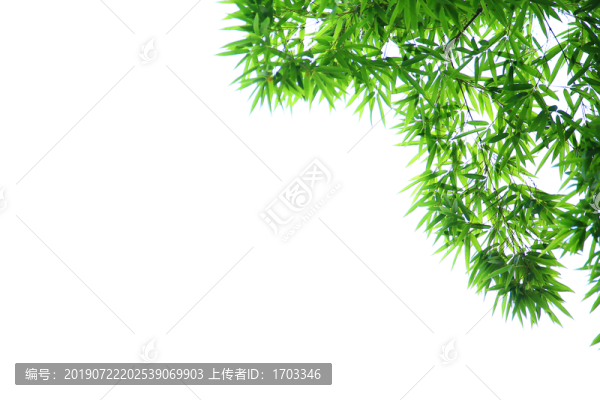 竹葉背景