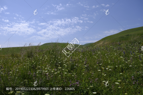 草原風光
