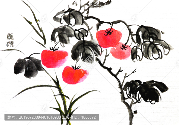 西紅柿