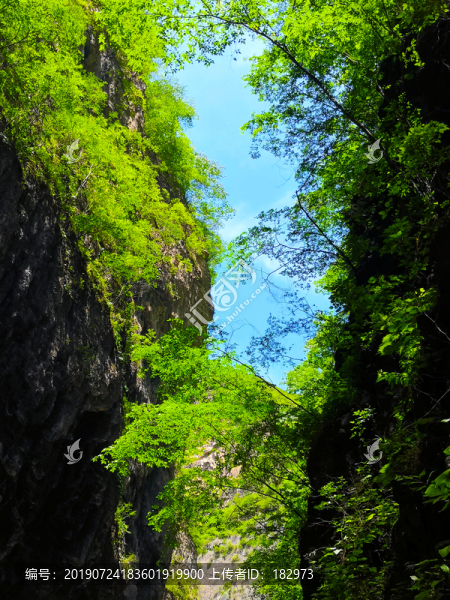 山林