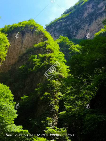 山