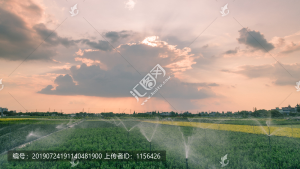 晚霞花圃