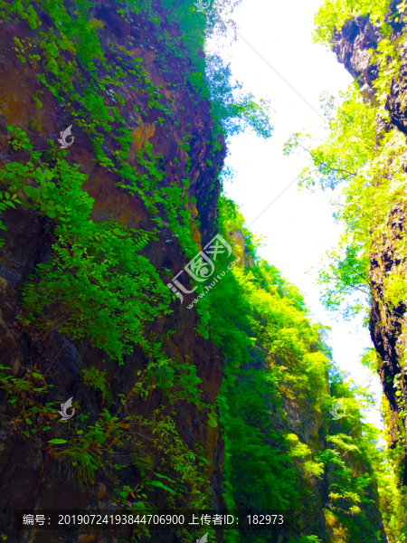 山