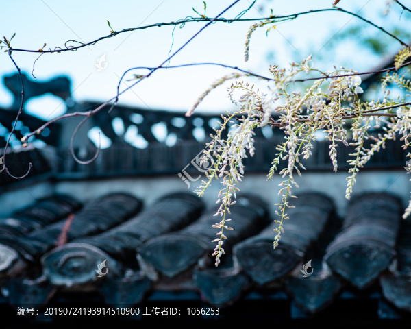 江南