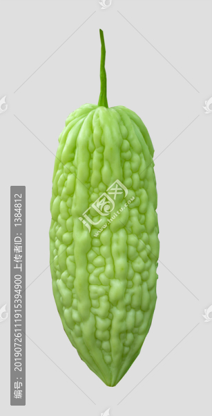 高清苦瓜素材
