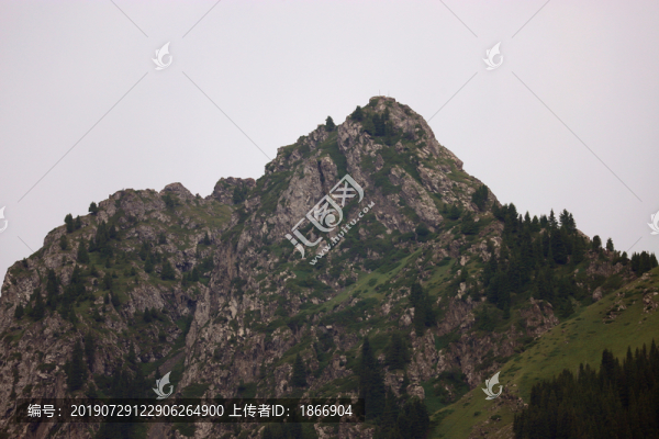 美麗的白楊溝景區(qū)