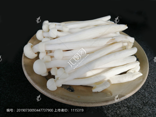 海鮮菇