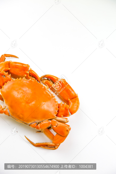 螃蟹