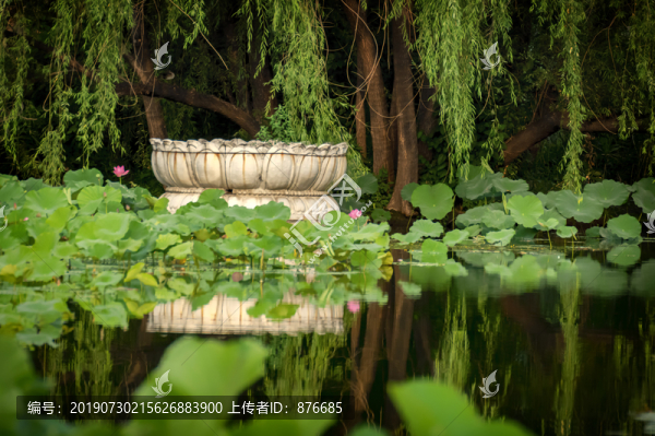 荷塘
