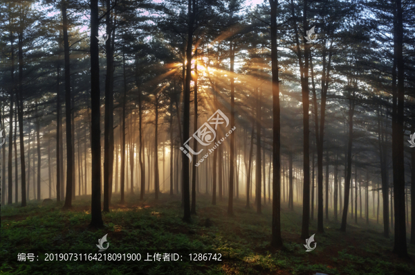 園林