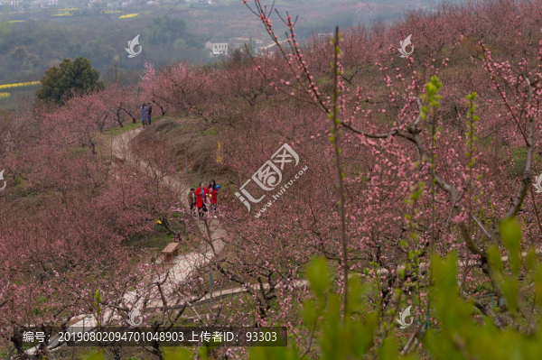 桃花
