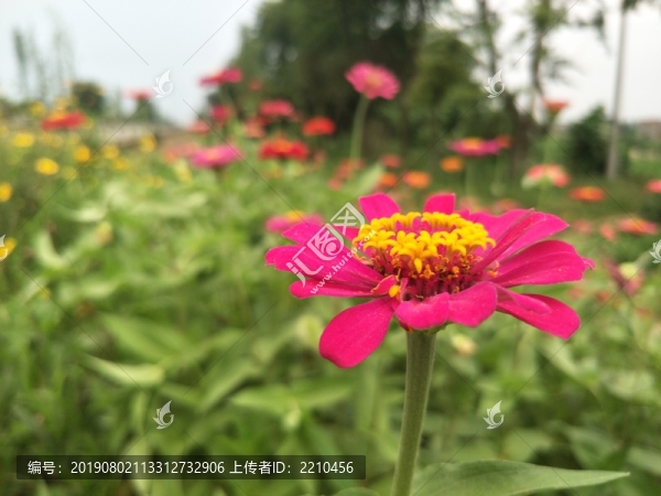 格?；☉敉? title=