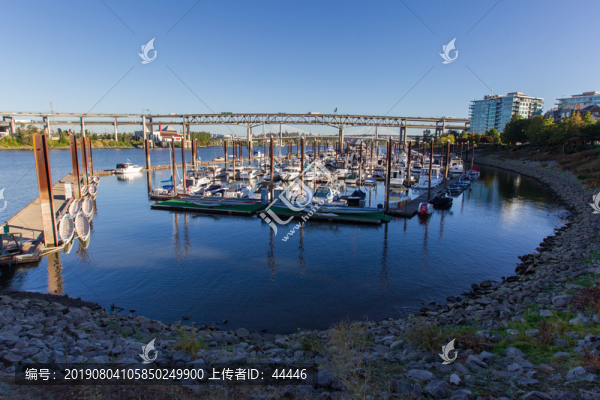波特蘭市區(qū)景觀