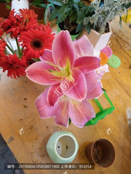 花